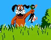 duck-hunt