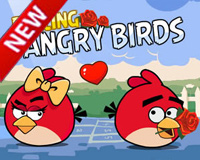 rolling angry birds